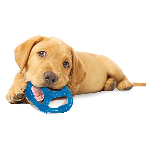 Nylabone Dura Chew Dog Bone - Peanut Butter Flavor (Regular)