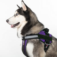 
              Unimax Multi-Purpose Harness
            