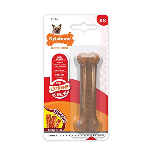 Nylabone DuraChew Bone Peanut Butter Regular Size Dental Nylon Toy for Dogs