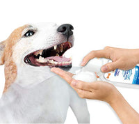 
              Nylabone Advanced Oral Care Foaming Tartar Remover for Dogs, 4 oz.
            