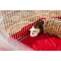 
              Prevue Hendryx 1098 Nature's Hideaway Grass Tunnel Toy, 13 x 6
            