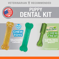 
              Nylabone Dental Kit for Small Puppies
            