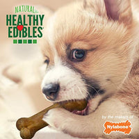 
              Nylabone Healthy Edibles Puppy Chew Treats, Lamb & Apple, Petite, 4 Count
            