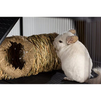 
              Prevue Hendryx 1098 Nature's Hideaway Grass Tunnel Toy, 13 x 6
            