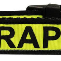 Mirage Pet Products - Therapy Dog Caution Tape Nylon Ribbon Collar  Large