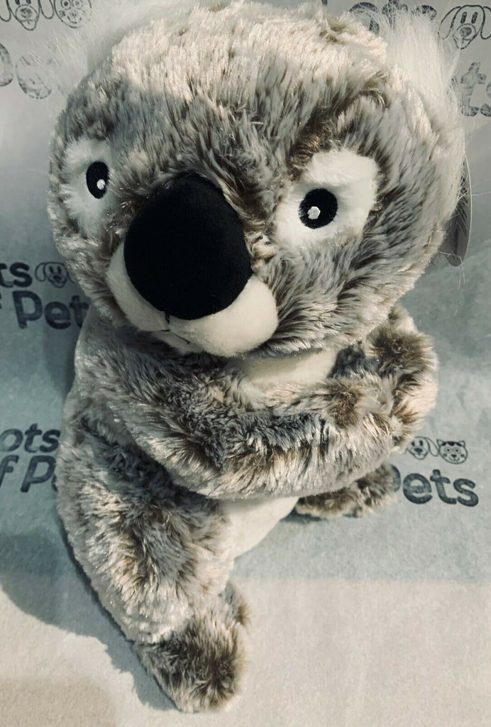 Multipet Koala 14 in Limited Edition Plush Dog Toy| Lots Of Pets