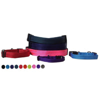 
              Nylon Flat Collar
            